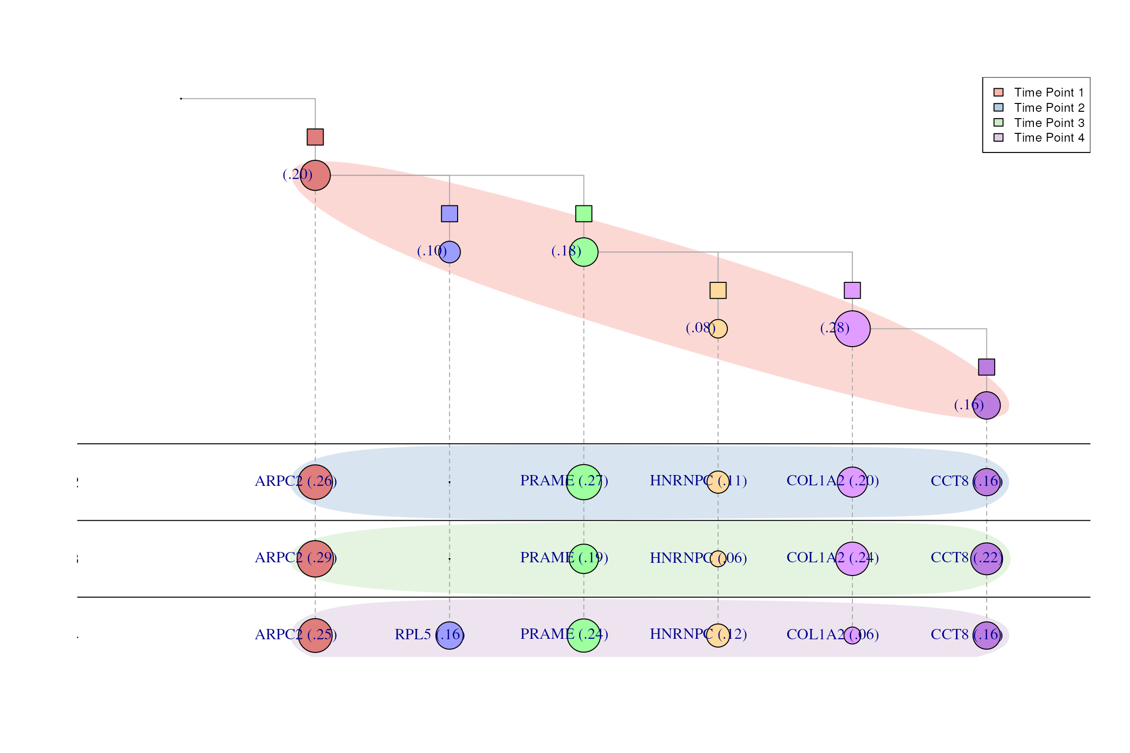 Inferred model